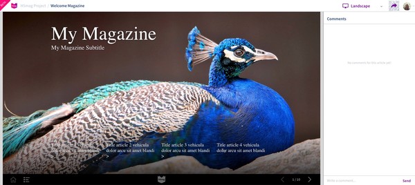Comment View